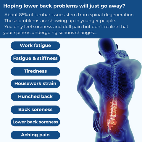 Hanuwell™ Smart Lumbar Massager
